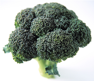 Broccoli