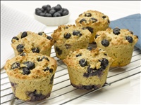 atkins cuisine mini muffins