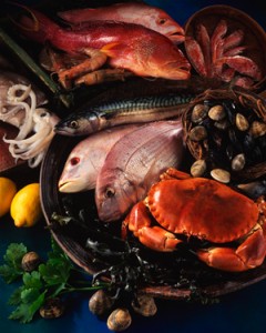 vis_plus_schaaldieren